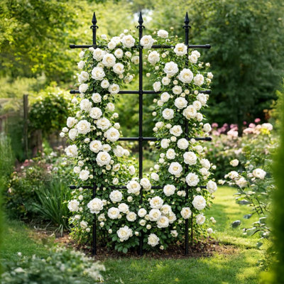 Garden Gear Metal Rose Trellis Plant Support Frame W90 x H150cm