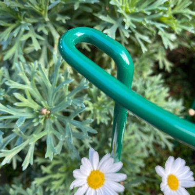 Garden Hoop Plant Bow Support System 20cm x 35cm (Pack of 4)