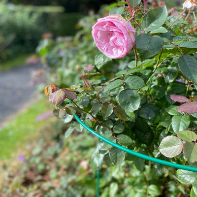 Garden Hoop Plant Bow Support System 52cm x 90cm (Pack of 10)