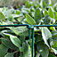 Garden Linked Metal Plant Support for Herbaceous Plants 35cm x 15cm (Pack of 10)