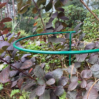 Garden Metal Plant Support Hoop Bow System 30cm x 45cm (Pack of 2)