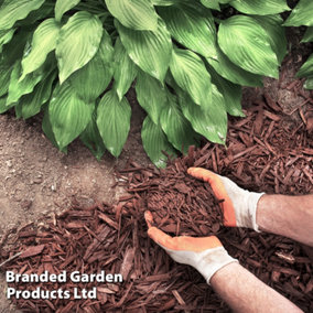 Garden Mulch - Incredimulch 60 Litre x 1 Bag - Supresses Weeds - Water Retention - Eco Friendly Mix