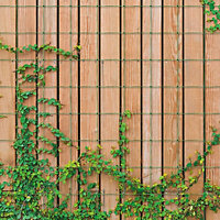 Garden Netting - Outdoor Polypropylene Trellis Mesh Net Support for Climbing Plants, Tall Flowers, Vegetables, Fruits - 1.7 x 4M