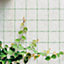 Garden Netting - Outdoor Polypropylene Trellis Mesh Net Support for Climbing Plants, Tall Flowers, Vegetables, Fruits - 1.7 x 4M