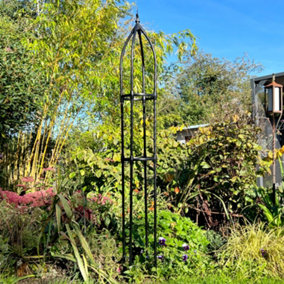 Garden Obelisk for Climbing Plants 170cm - Metal Plant Cage Support Trellis Rose Tower for Flowers, Patio Pots, Shrubs, Borders