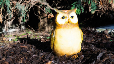 Owl solar lights b&q store