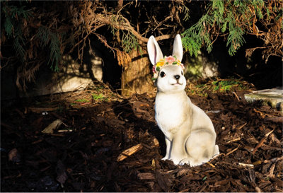 Garden Outdoor Solar Powered Light Up Animal Rabbit Ornament Gnome Decoration