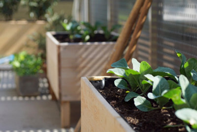 Raised garden containers with vibrant plants, offering a low-maintenance solution for easy gardening.