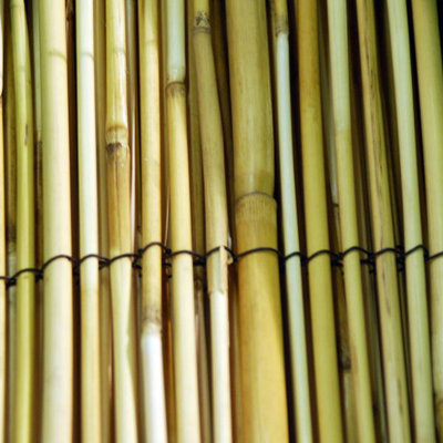 Garden Reed / Read Screening 1m x 3m (325mm)