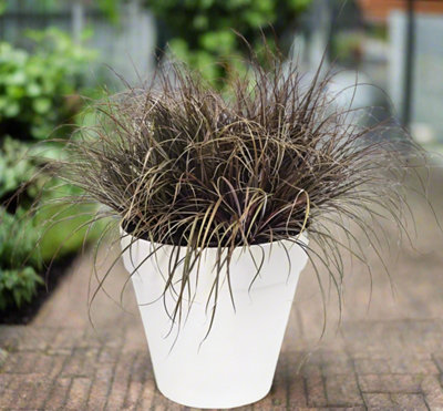 Garden Store Direct Urban Jungle Round Plant Pots - Indoor or Outdoor - 28cm White