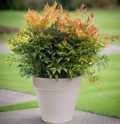 Garden Store Direct Urban Jungle Round Plant Pots - Indoor or Outdoor - 38cm Warm Grey