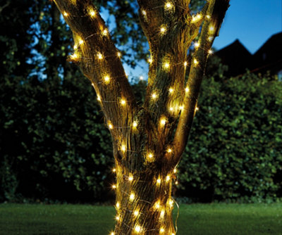String lights wrapped around the trunk of a tree in a garden, creating a warm and festive atmosphere.
