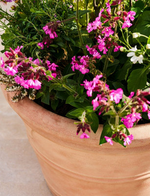 Garden Trading Newnham Planter Plant Flower Tree Pots Terracotta