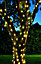 Garden Trading Outdoor 10m Garden Tree Wall Wire Lights Battery LED Fairy Light