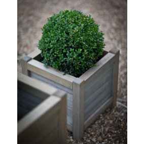 Garden Trading Square Planter Flower Pot Box 40x40cm Spruce Wooden