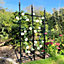 Garden Trellis for Climbing Plants 6ft / 180x150cm High - Metal Rose Fence & Free Standing Screen for Borders Edging Plant Support