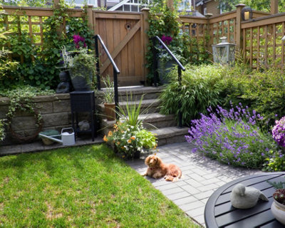 A back garden with a grass lawn and a paved pathway leading to the backgate, surrounded by trellis panels with climbing plants.