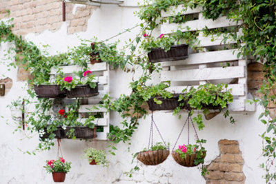 DIY wall planters made from reclaimed wood pallets painted in white and attached to a garden wall.
