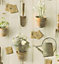 Garden Wallpaper Rasch Textured Embossed Vinyl Plant Pot Water Can Flower
