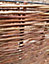 Garden Willow Wheelie Bin Screen Storage Rubbish Dust Cover Triple