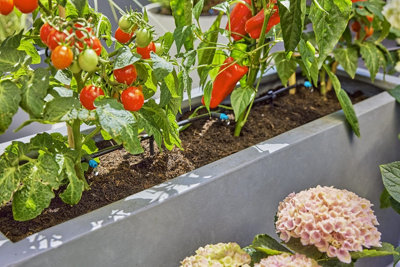 Gardena Micro-Drip-Irrigation Terrace Set Pour 30 Plantes - Kit Arrosage Goutte-à-Goutte