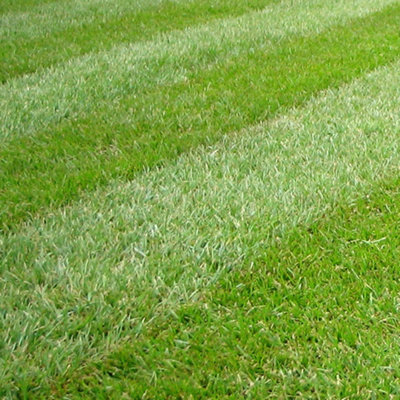 The Best-selling New & Future Releases In Garden Fertilizers