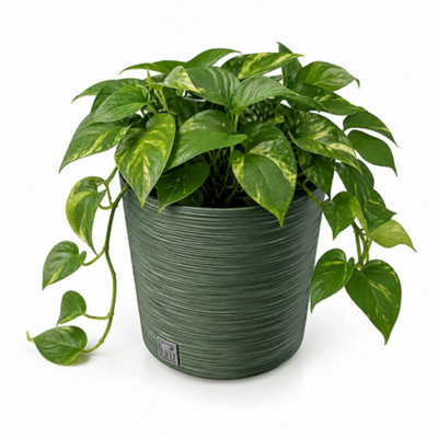 Gardening Naturally Fora Green Round Plant Pot 30cm With Removable ...