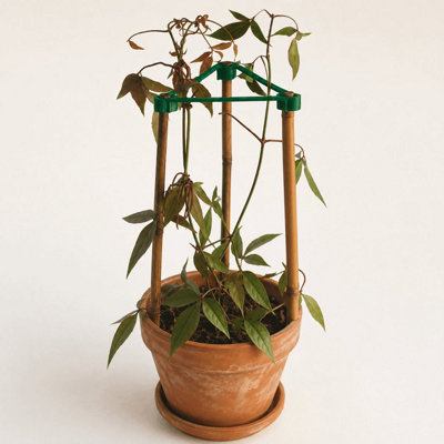 Gardening Naturally Gro Triangle Plant Supports Pack of 10
