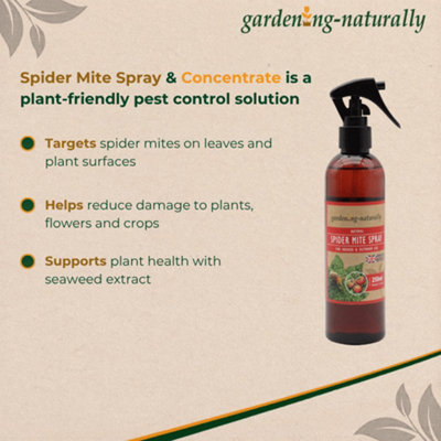 Gardening Naturally Natural Spider Mite Spray & Concentrate Pest ...