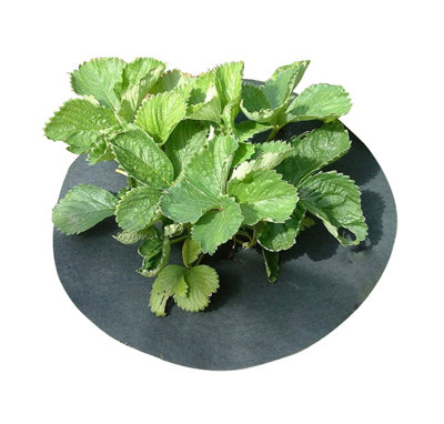 Gardening Naturally Strawberry Mats Collars With Copper - Large - (Pack ...
