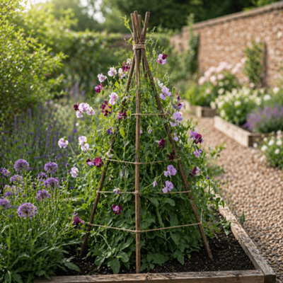 Gardening Naturally Willow Plant Support Sticks Canes For Garden Plants ...