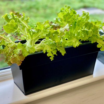 Gardening Naturally Window Box Black Zinc Planter 60cm