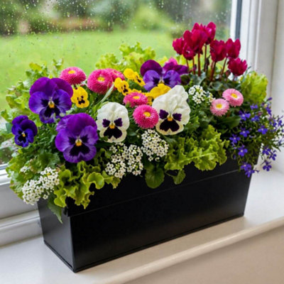 Gardening Naturally Window Box Black Zinc Planter 60cm
