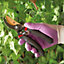 GardenKraft 8-Inch Professional Pruning Shears