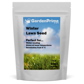 GardenPrime Winter Lawn Seed - Grass Seed for Colder Weather 100 m2 - 1.75KG