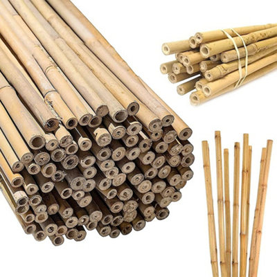 5FT Bamboo Garden Canes Strong Natural Thick Quality Stakes Plant