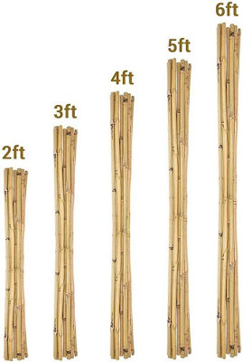 Bamboo Canes 2ft 4ft 6ft Large Plant Support Extra Strong Pole Garden Sticks