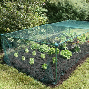 GardenSkill Fruit Cage Grow House Bird Butterfly Pest Protection Vegetable Mesh Plant Cover 2.5x1.25x0.625m H