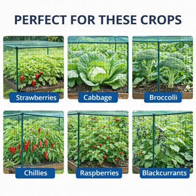 GardenSkill Fruit & Vegetable Cage 3x1x1.875m H - Premium Garden Bird ...