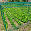 GardenSkill Grow House Fruit Vegetable Frame with Plant Protection Bird Netting 1 x 1.25m H