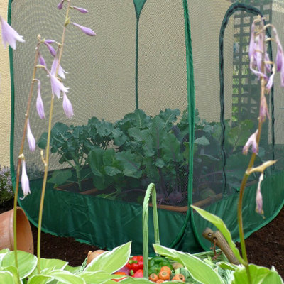 GardenSkill Pop Up Cabbage & Brassica Crop Cage Bird Net Pest ...