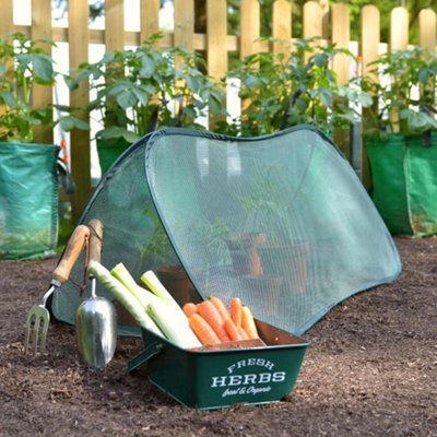 GardenSkill Pop Up Mini Grow Tunnel Cloche Vegetable Plant Fruit Cover  100x40cm H