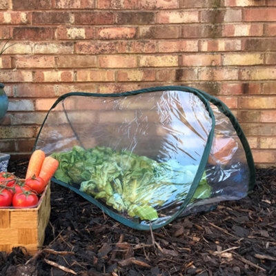 GardenSkill Pop Up Mini Poly Tunnel 1x0.4m H - Instant Greenhouse Cloche Plant Protection Cover for Fruit Raised Bed Planter Pk 2