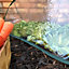 GardenSkill Pop Up Mini Polytunnel Greenhouse Grow House Garden Fruit Plant Cloche 150x60cm H