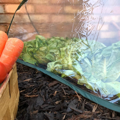 GardenSkill Pop Up Mini Polytunnel Greenhouse Grow House Plant Fruit Cloche 125x50cm H