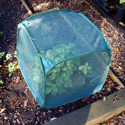 GardenSkill Pop-Up Mini Pot Plant, Seedling & Herb Cover Grow House Cloche 0.5m H
