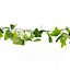 Gardenwize 2 Metre 20 LED Solar Powered Outdoor Ivy Leaf String Lights Fence Wall Decking Patio Decorative Lights