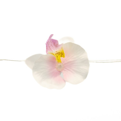 Orchid solar lights cheap