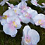 Gardenwize Garden Outdoor 2m Solar Orchid Flower LED Decorative String Lights