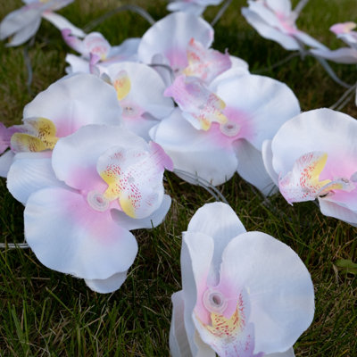 Solar orchid clearance lights